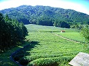 鎭