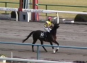 京都競馬11Ｒ返し馬